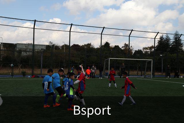 关于Bsport